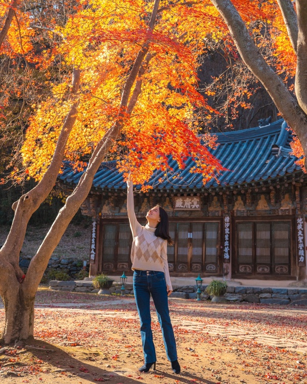 日本、韓國開放觀光！日韓觀光微解禁，觀光簽證怎麼辦？虎航搶賣飛「日韓泰」798元起