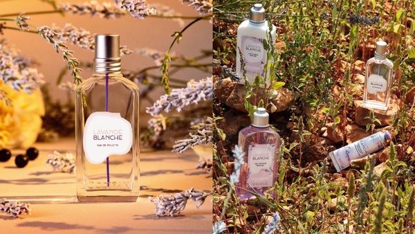 2022「香水推薦」超人氣30款！Jo Malone、DIOR優雅迷人，這款把薰衣草花田帶到眼前