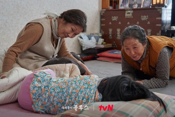 近期熱播韓劇話題度TOP10：《現在開始是Showtime!》2.07%
