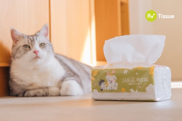 買一箱就種10棵樹！麻吉貓「環保再生衛生紙」新上市，保護地球同時照顧流浪動物