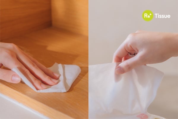 買一箱就種10棵樹！麻吉貓「環保再生衛生紙」新上市，保護地球同時照顧流浪動物
