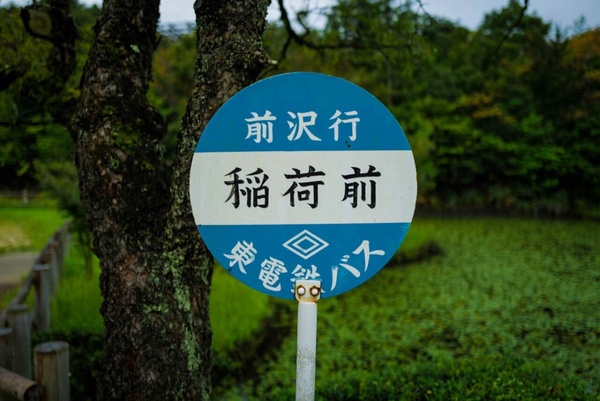 日本「吉卜力公園」11月盛大開幕！超萌龍貓涼亭亮相、「霍爾的移動城堡」真實還原！