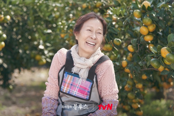 《藍調》她們的故事比劇還精彩!李姃垠50歲才爆紅,金惠子竟是有錢大小姐?家有200坪