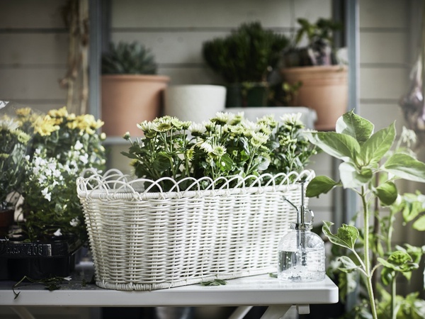 IKEA「夏季絕版品出清」即日起開跑，超過百樣商品５折起！實用三層收納櫃千元有找