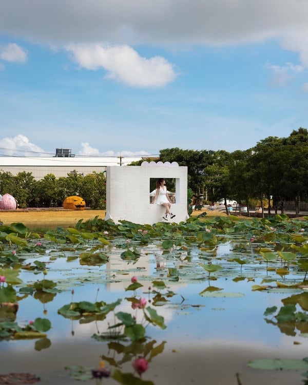 2022「桃園觀音蓮花季」開幕!躺臥大王蓮體驗輕功水上飄,還能大啖蓮花大餐