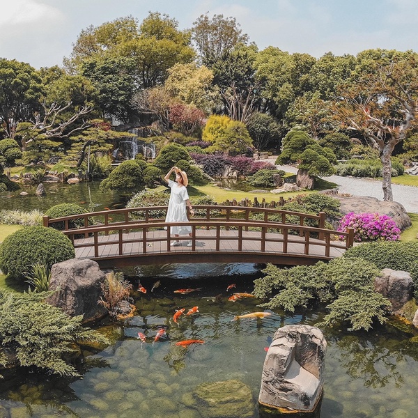 不只鹿港老街！彰化8大好拍景點推薦：小花紫薇秘境、白色河豚屋，「這裡」還能看夜景