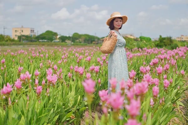 不只鹿港老街！彰化8大好拍景點推薦：小花紫薇秘境、白色河豚屋，「這裡」還能看夜景