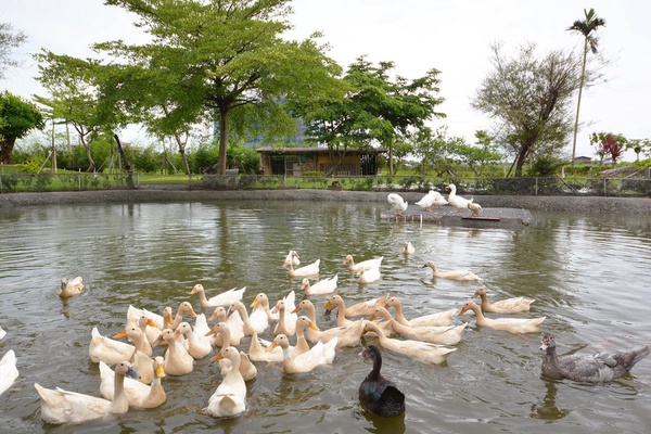 宜蘭景點｜12大宜蘭旅遊景點推薦！熱門龜山島牛奶湖這樣玩，清水地熱全新景點新登場