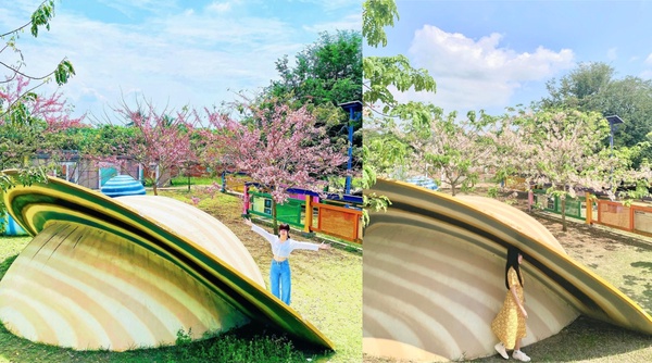 2023嘉義景點推薦！親子共遊好去處、佐登妮絲「紫色浪漫季」，熱門打卡景點必收藏！