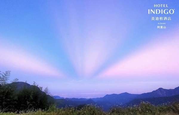 海拔最高的飯店就在阿里山！嘉義「阿里山英迪格酒店」年底開幕，有觀星平台還可看雲海