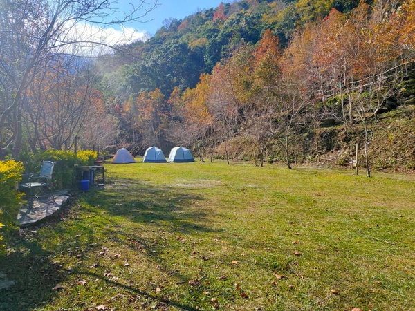 2022全台賞楓景點推薦:桃園 拉拉山
