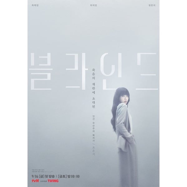 推理懸疑韓劇《Blind局中人》6大看點，《Voice4》導演執導、玉澤演熱血破案！