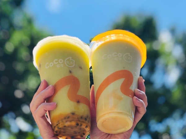  酪梨牛奶推薦！CoCo推「酪梨布丁牛奶」、「酪梨百香果昔」，售價70~75元