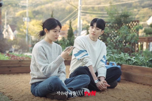9月熱播韓劇評價!《小女子》懸疑高能獲好評,《毒梟聖徒》卡司強、劇情稍嫌可惜