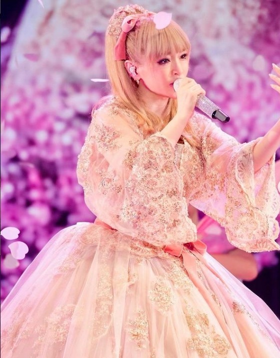 好可惜！細數臨時喊卡的演唱會：田馥甄一波三折、Super Junior太感傷、劉德華落淚道歉