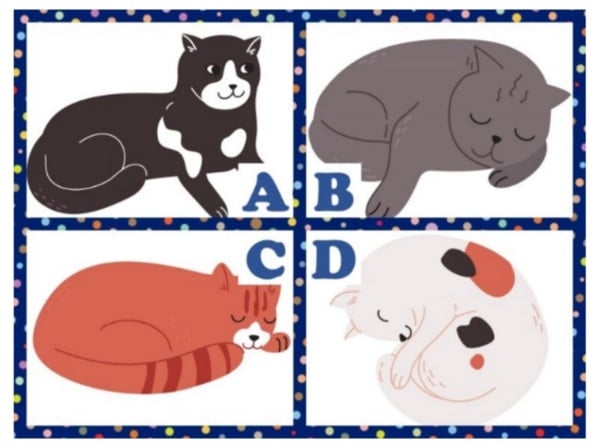 你是有耐心的人嗎？超神準心理測驗，從一道情境題，看出你的耐心指數&面對壓力的態度