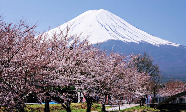 日本自由行全面開跑!遊日自由行超值優惠一次搞懂!