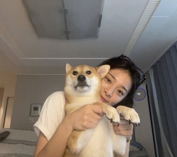 生命靈數