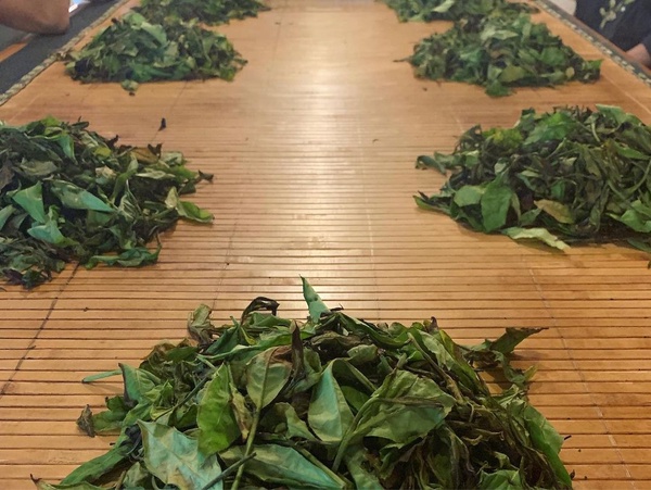 2022日月潭花火節10/22閃亮登場！超過300秒煙火點亮日月潭夜空+無人機展演，美翻！