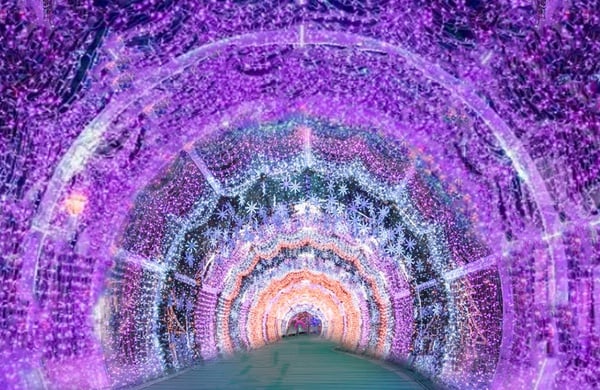 2022新北耶誕城交通攻略！「4大燈區、8大聖誕燈飾天橋」位置&路線攻略一次看