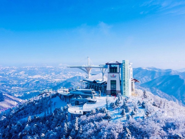 日韓滑雪場推薦！專業、初學雪道皆有，鬼怪粉「這家」必打卡，還有滑雪專案優惠報你知