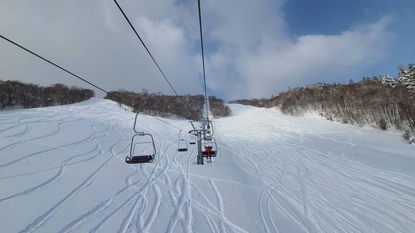 日韓滑雪場推薦！專業、初學雪道皆有，鬼怪粉「這家」必打卡，還有滑雪專案優惠報你知