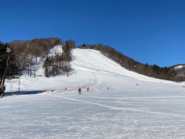 日韓滑雪場推薦！專業、初學雪道皆有，鬼怪粉「這家」必打卡，還有滑雪專案優惠報你知