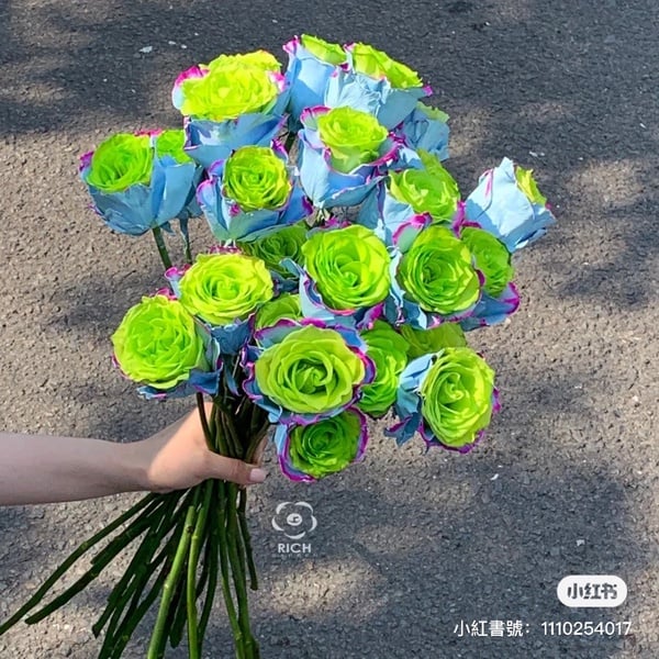 仙女專屬綠玫瑰!三眼怪配色「綠玫瑰花束」,綠x藍紫漸層超吸睛,浪漫花語藏不住