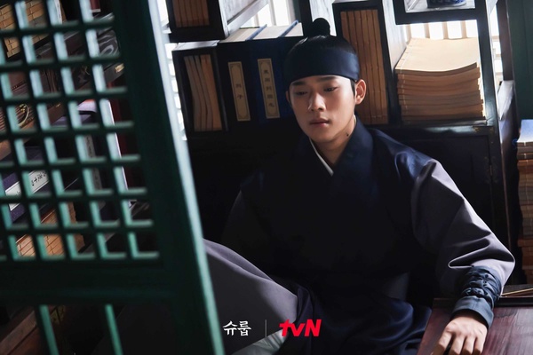 《王后傘下》「歷史原型」結局!大妃原型自己作死,成枏大君原型篡位成功,領相實慘!