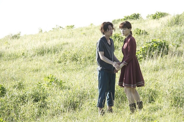 《First Love 初戀》佐藤健10個秘密!與人妻傳緋聞被公司禁足,愛看韓劇《禹英禑》!