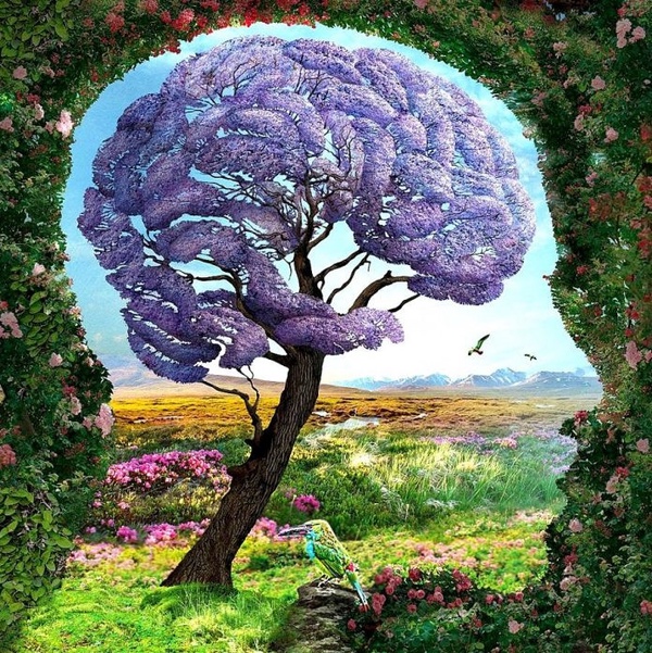 你最大的優點是什麼?外網神準心理測驗,第一眼看到什麼,精準測出隱藏性格&人格特質