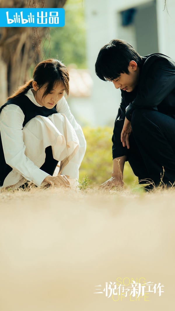  「現代陸劇」評分榜Top10！白敬亭《開端》第十，趙麗穎《風吹半夏》8.4分，冠軍破9分