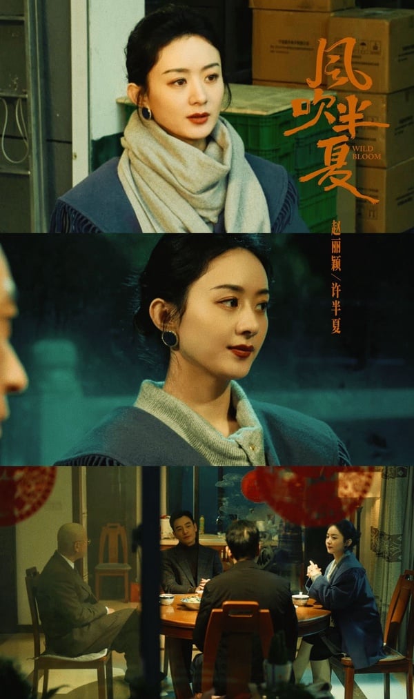 陸劇背後「原型故事」!《風吹半夏》趙麗穎原型竟是作者本人,《人生大事》原型更感人