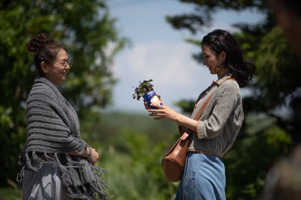 「跟『平均值』做比較，是世上最沒意義的事！」人生活得通透6大練習，停止磨耗心靈！