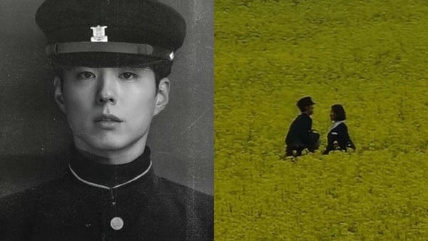 IU、朴寶劍《您辛苦了》劇情＆角色介紹：高顏值夢幻組合，上演1950年代濟州島愛情故事