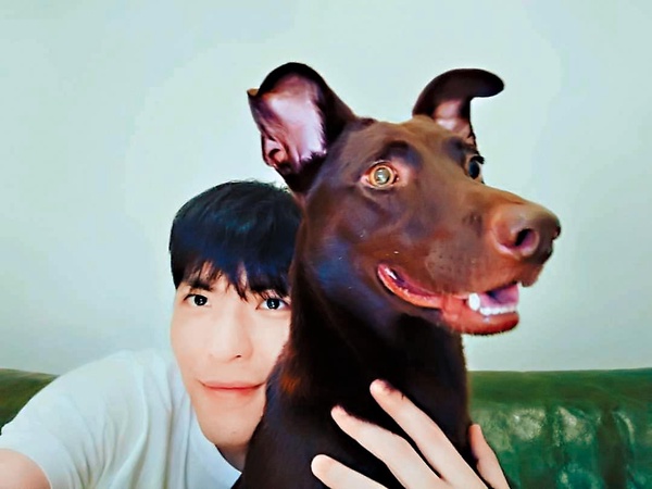 9位超寵毛孩台灣明星!吳慷仁貓咪藏洋蔥&蔡依林愛犬人氣高,米可白被侯友宜認錯太鬧啦