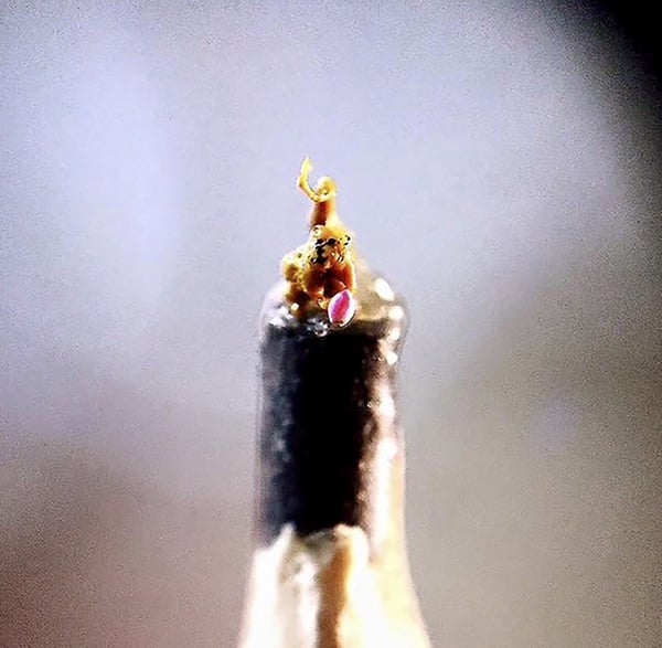 輕軌啟航!安坑輕軌周圍景點推薦:兩層樓高溜滑梯超刺激,就連站內的裝置藝術都好拍
