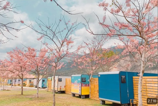 伴櫻花入睡!8間櫻花住宿推薦:奢華系露營、歐洲莊園風,一踏出房門就能將櫻花擁入懷