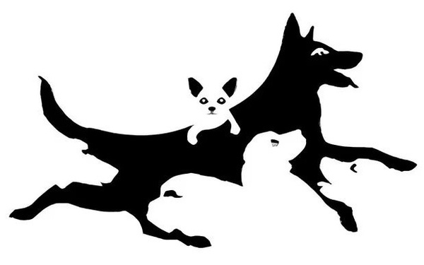 你心裡年齡幾歲？神準日網心理測驗，第一眼看到的狗狗數量、測出你心理年紀&真實性格
