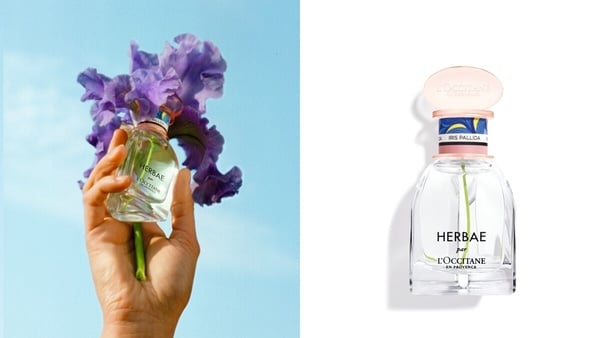 2024「麝香香水」推薦！Le labo、 BYREDO高級感偽體香 ，GD同款香水是這牌！