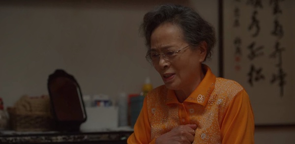網議《離婚律師申晟瀚》演技超好演員!韓惠軫挨批,曹承佑無懈可擊,愛蘭婆婆實在厲害