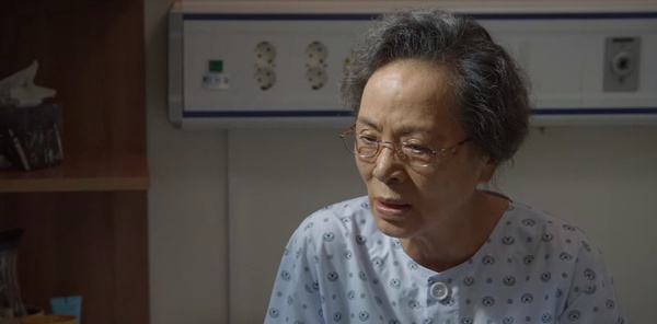 網議《離婚律師申晟瀚》演技超好演員!韓惠軫挨批,曹承佑無懈可擊,愛蘭婆婆實在厲害