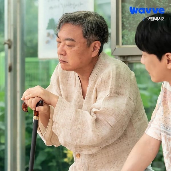 《模範計程車2》8大搶眼配角!表藝珍出身空姐,辛載夏受封怪物新人,她曾捲入性侵醜聞