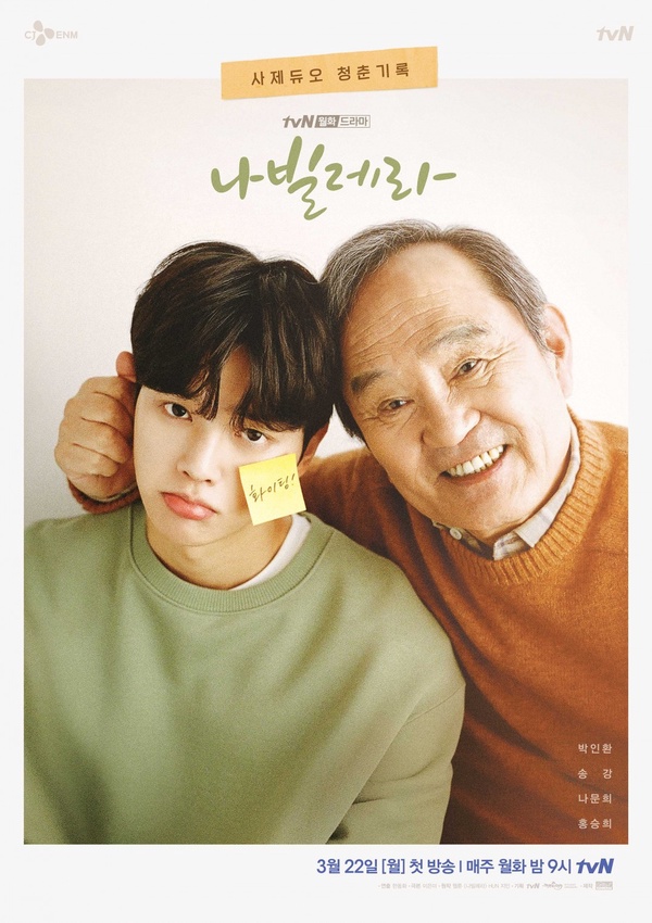 Netflix溫馨療癒韓劇推薦!《離婚律師申晟瀚》溫暖人心,《沒關係是愛情啊》更是經典