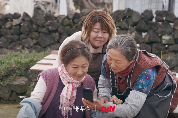 Netflix溫馨療癒韓劇推薦!《離婚律師申晟瀚》溫暖人心,《沒關係是愛情啊》更是經典