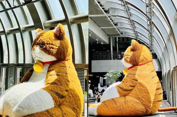 「3公尺橘貓重重」登陸大安森林公園
