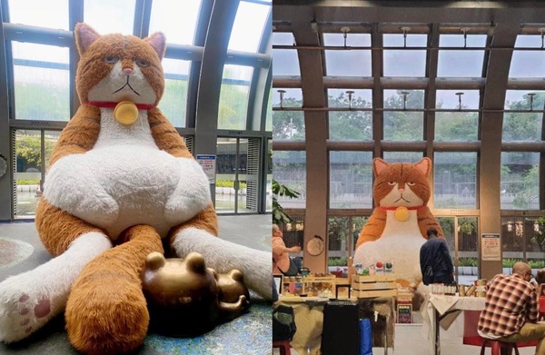 「3公尺橘貓重重」登陸大安森林公園