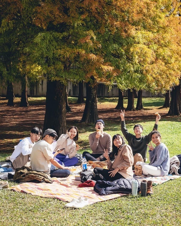 台北野餐地點推薦！台北不只大安森林可野餐，圓山舊兒童樂園、華山文創也是野餐首選