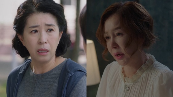 韓劇「媽媽專業戶」!《車貞淑醫生》婆婆演過玄彬&李敏鎬媽,她號稱「韓國最美媽媽」