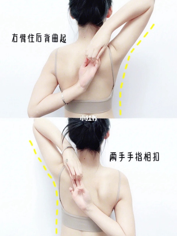 肥手臂好顯胖？5招懶人瘦手臂運動，雕塑線條有感，2周改善蝴蝶袖、虎背熊腰全消失